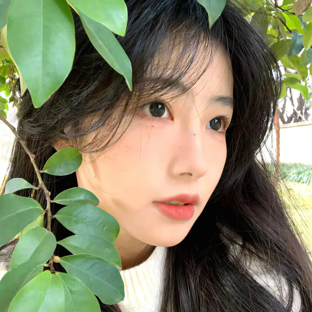 禁断动画